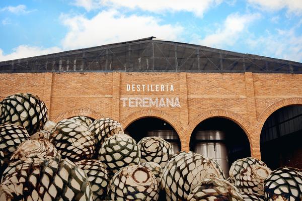 Pineapples in front of Teremana Distillery